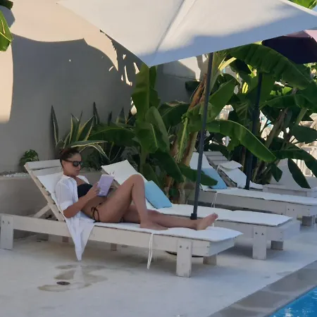 Olga Lounge 4*