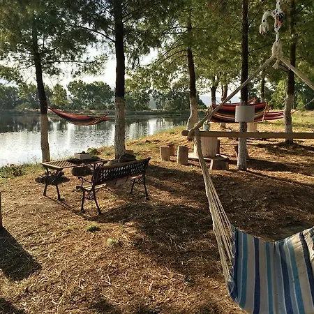 Aparthotel Olga Lounge 4*