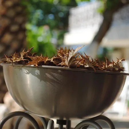 Aparthotel Olga Lounge Lygia (Lefkada)