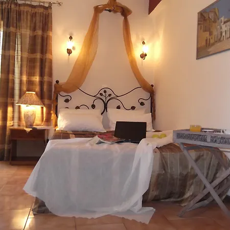 Olga Lounge Ligia