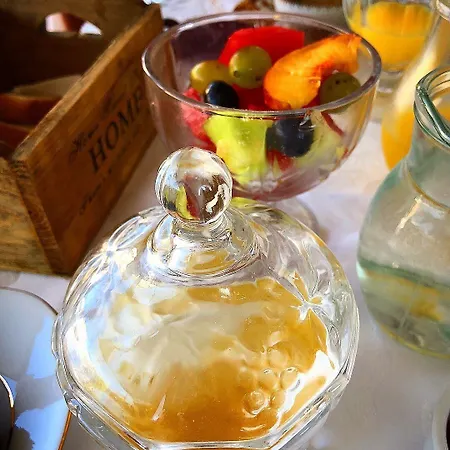 Olga Lounge Aparthotel