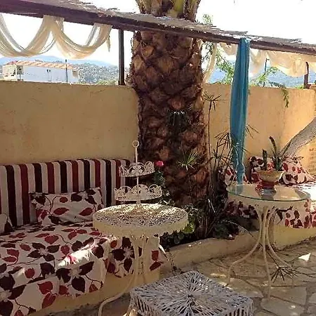 Aparthotel Olga Lounge 4*