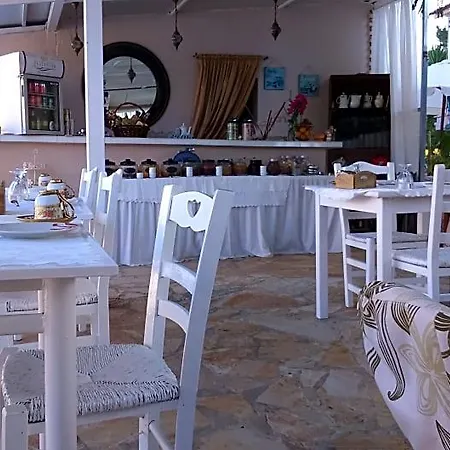 Olga Lounge 4*