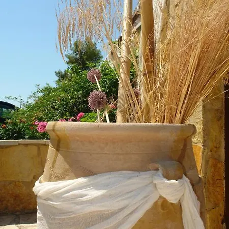 Olga Lounge ليغيا