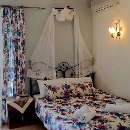 Olga Lounge 4*