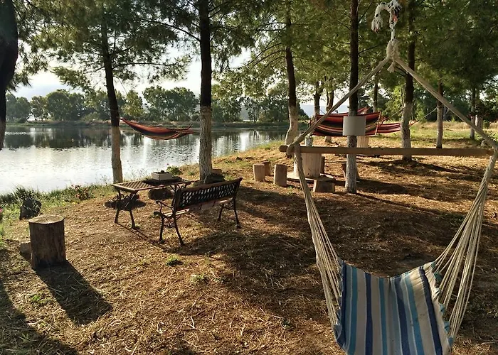 Aparthotel Olga Lounge 4*