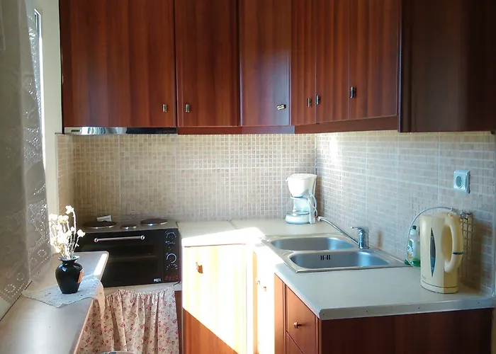 Aparthotel Olga Lounge 4*